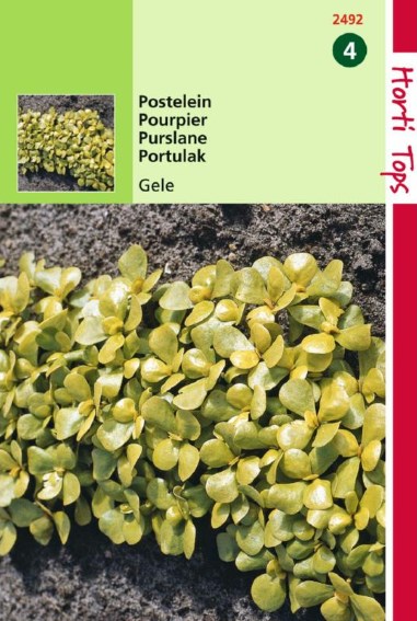 Portulak Gelbe (Portulaca oleracea) 10000 Samen
